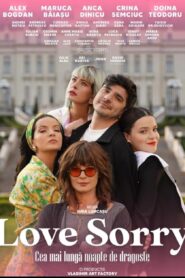 Love Sorry (2022), film online în limba Română
